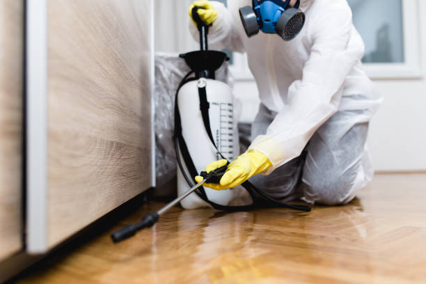 Best Affordable Pest Control Services  in Roeland Park, KS