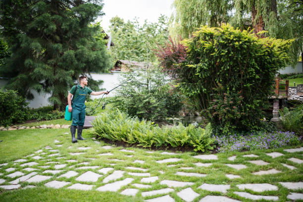 Best Pest Control Near Me in Roeland Park, KS