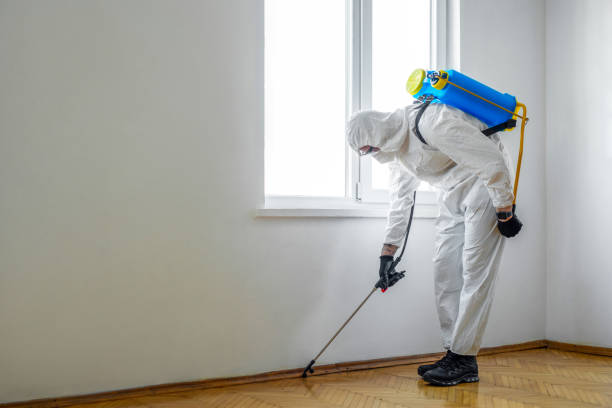 Professional Pest Control in Roeland Park, KS