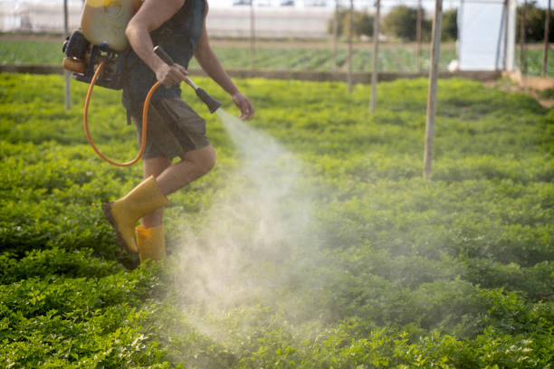Best Pest Control Treatment  in Roeland Park, KS