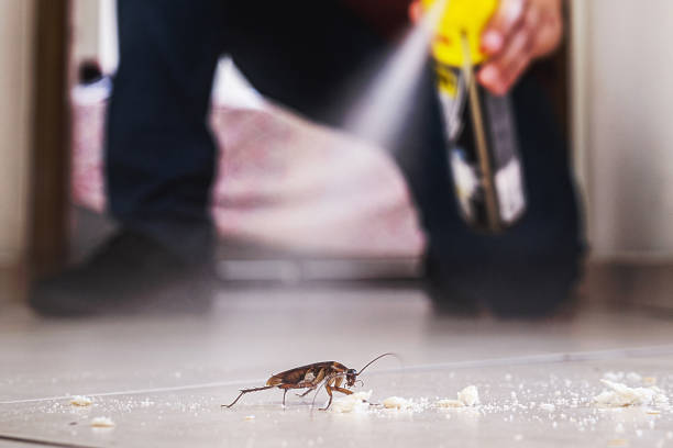 Best Commercial Pest Control Services  in Roeland Park, KS